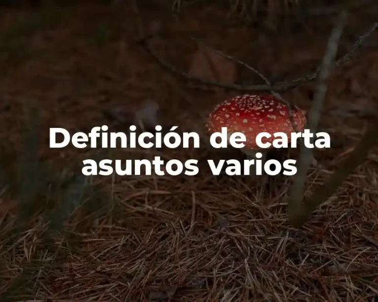 Definición de carta asuntos varios