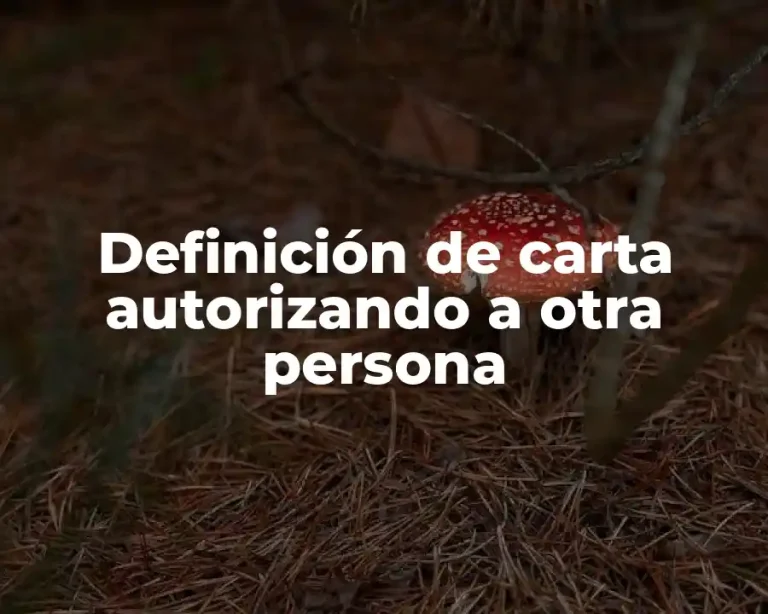 Definición de carta autorizando a otra persona