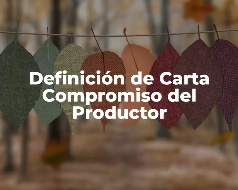 Definición de Carta Compromiso del Productor