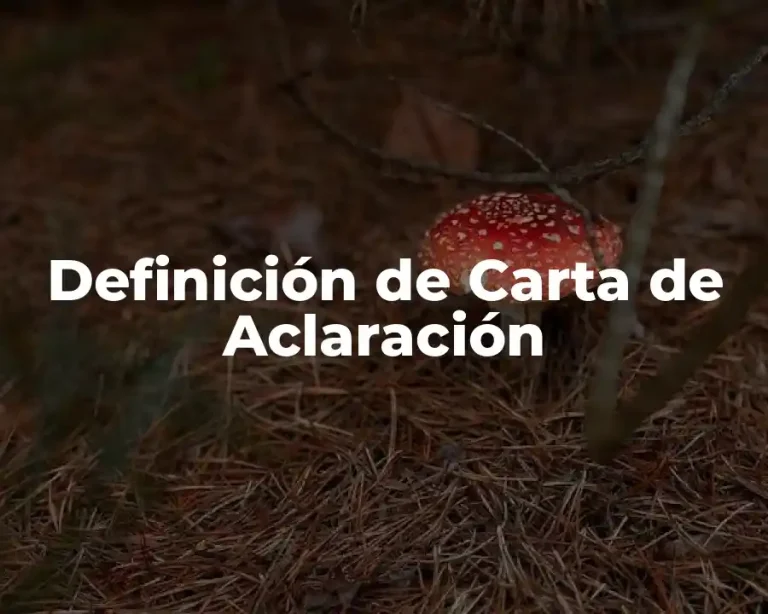 Definición de Carta de Aclaración