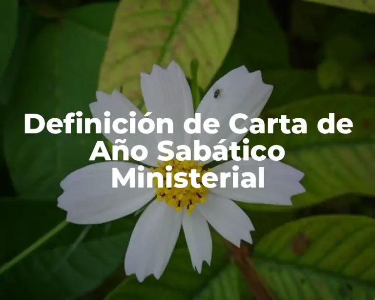 Definición de Carta de Año Sabático Ministerial