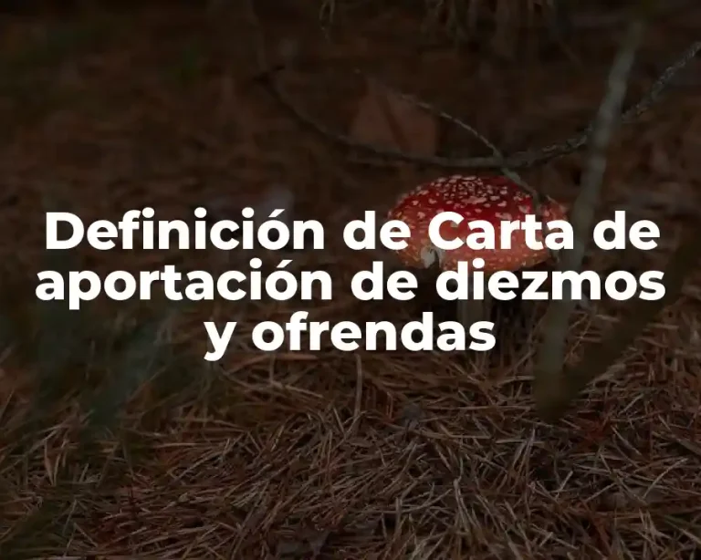 Definición de Carta de aportación de diezmos y ofrendas