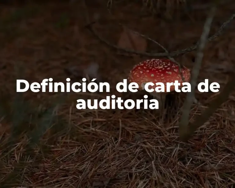 Definición de carta de auditoria