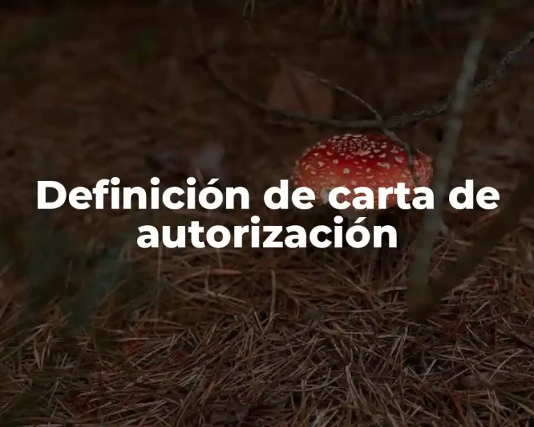 Definición de carta de autorización