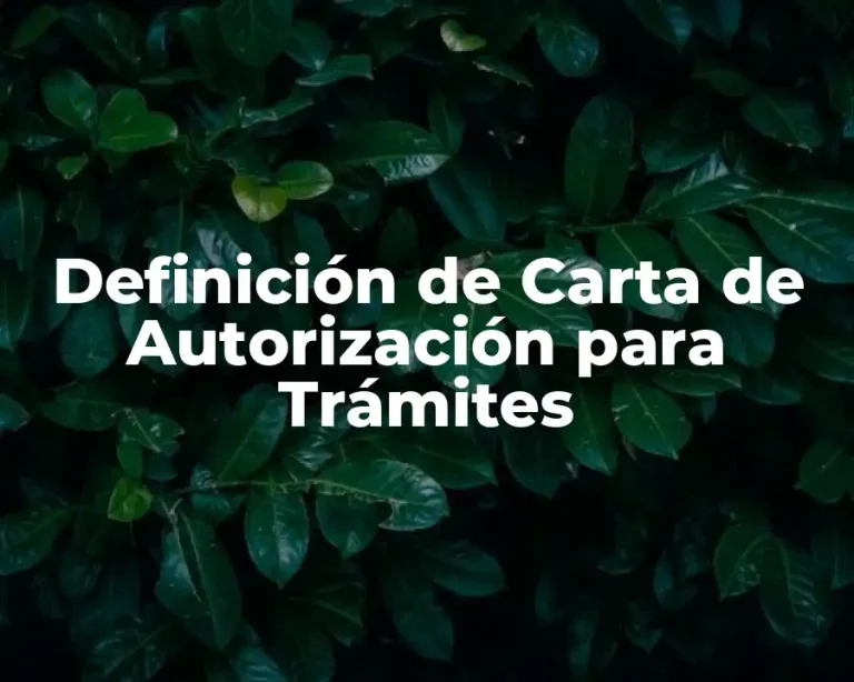 Definición de Carta de Autorización para Trámites