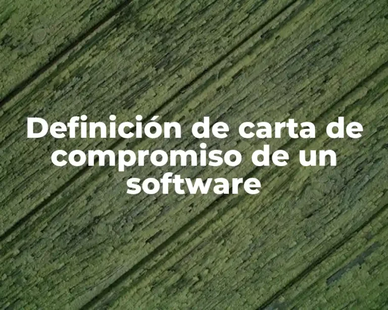 Definición de carta de compromiso de un software