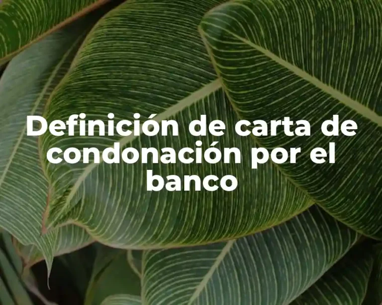 Definición de carta de condonación por el banco