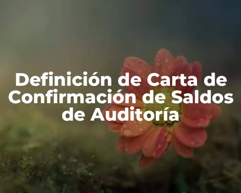 Definición de Carta de Confirmación de Saldos de Auditoría