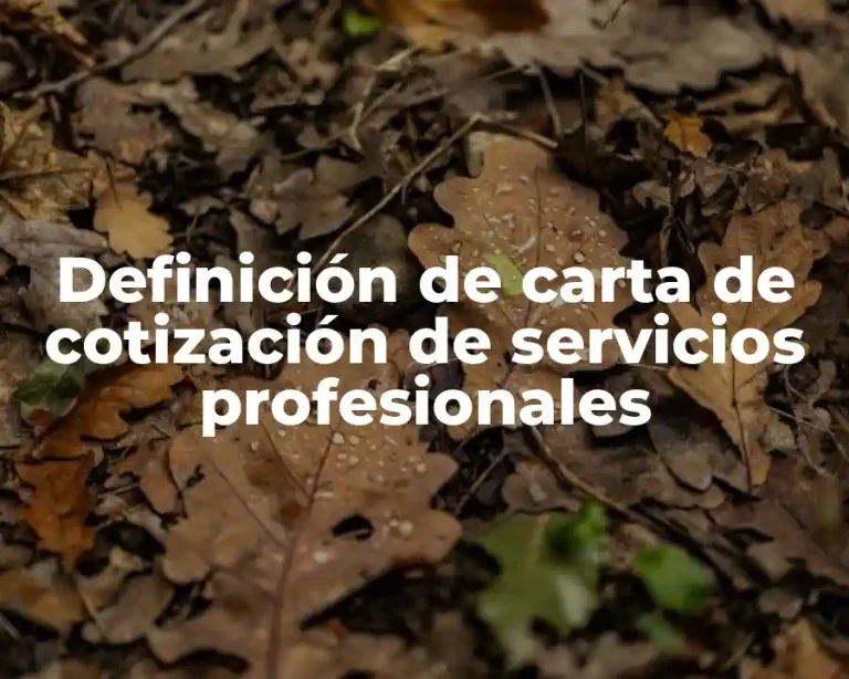 Definición de carta de cotización de servicios profesionales