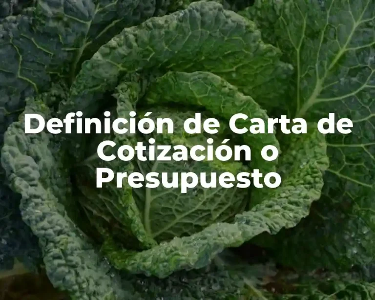 Definición de Carta de Cotización o Presupuesto