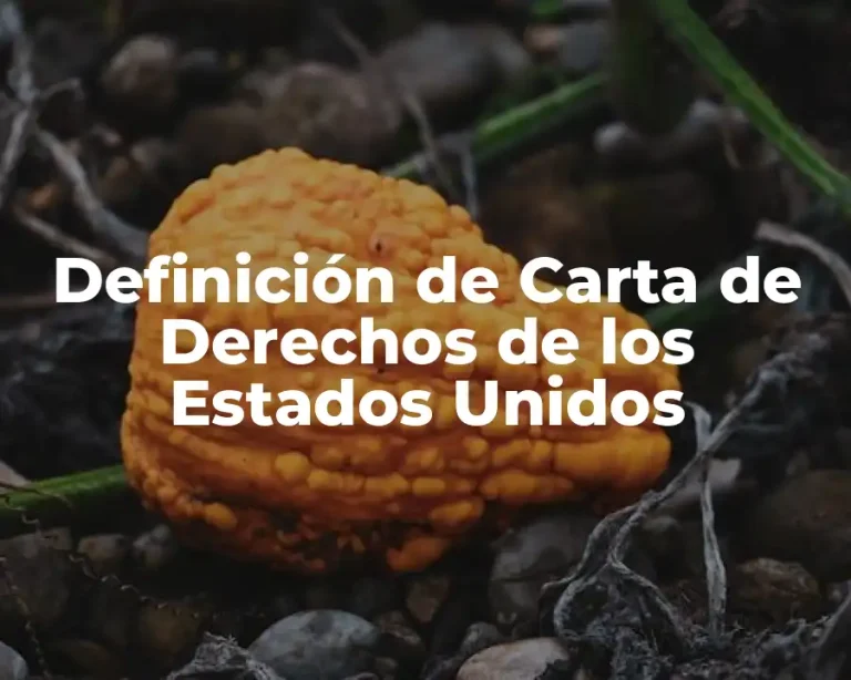 Definición de Carta de Derechos de los Estados Unidos