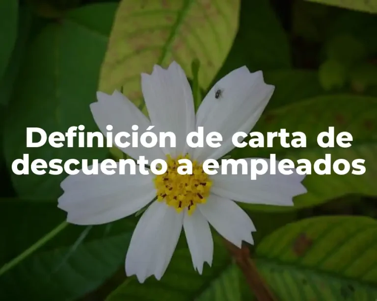 Definición de carta de descuento a empleados