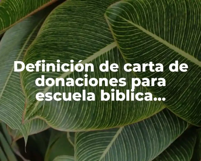 Definición de carta de donaciones para escuela biblica vacacional