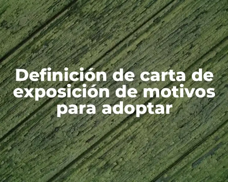 Definición de carta de exposición de motivos para adoptar