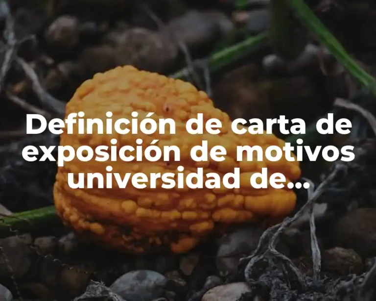 Definición de carta de exposición de motivos universidad de Guanajuato
