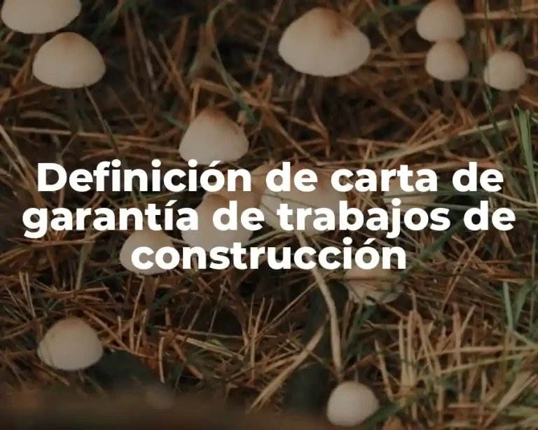 Definición de carta de garantía de trabajos de construcción