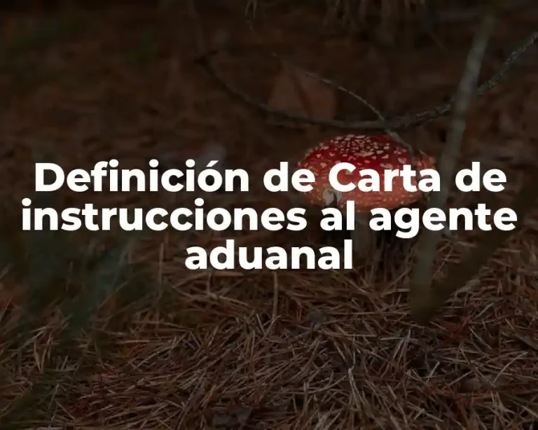 Definición de Carta de instrucciones al agente aduanal