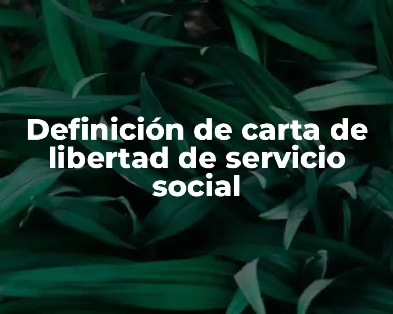 Definición de carta de libertad de servicio social