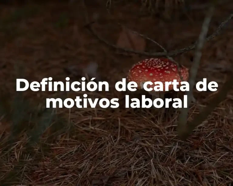 Definición de carta de motivos laboral