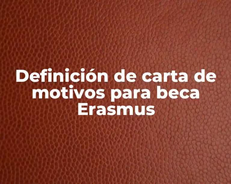 Definición de carta de motivos para beca Erasmus