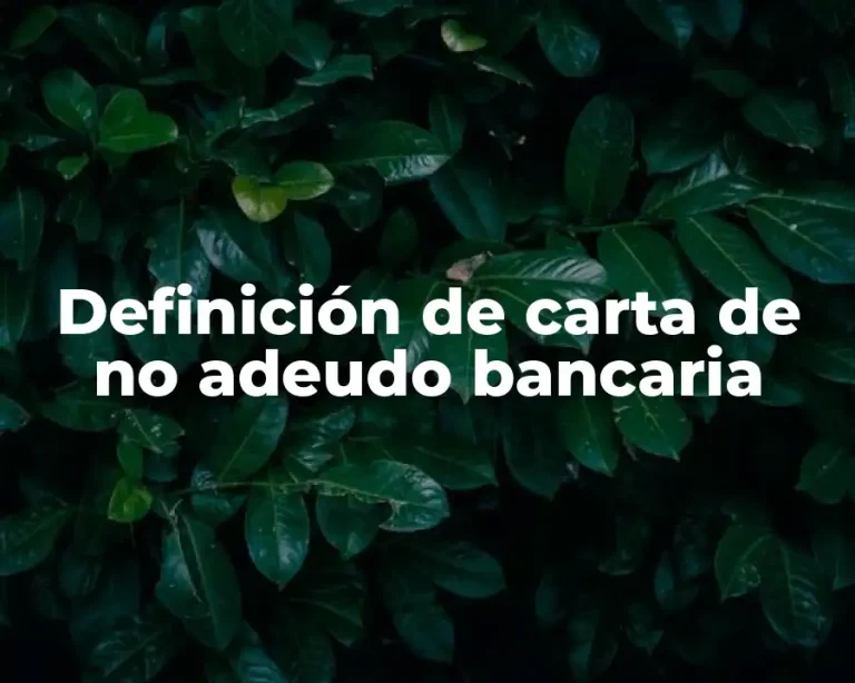 Definición de carta de no adeudo bancaria
