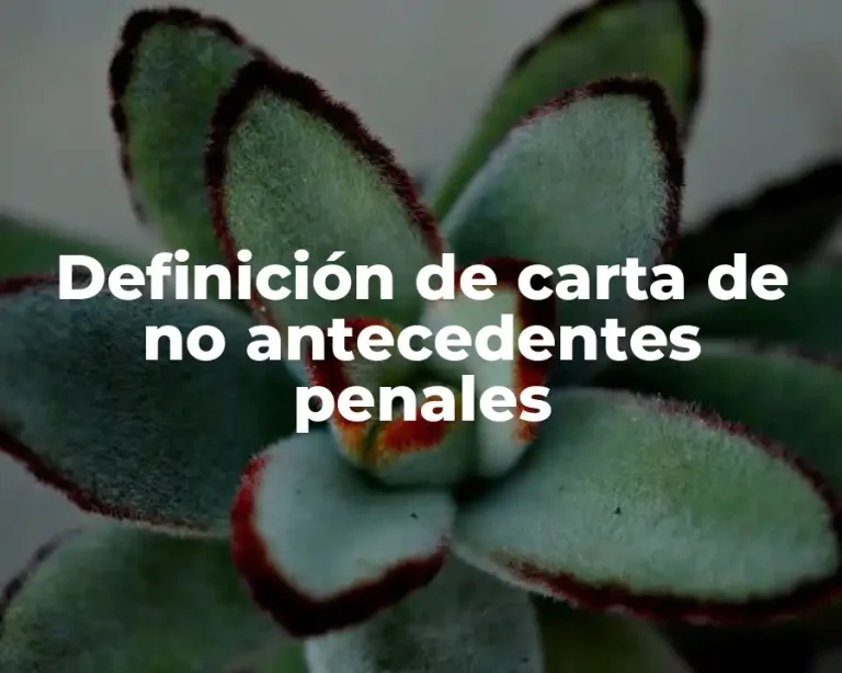 Definición de carta de no antecedentes penales