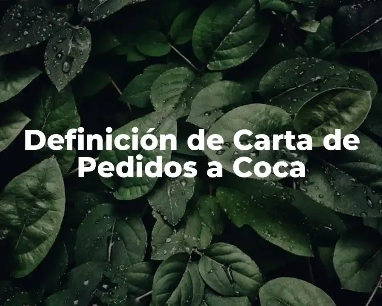 Definición de Carta de Pedidos a Coca