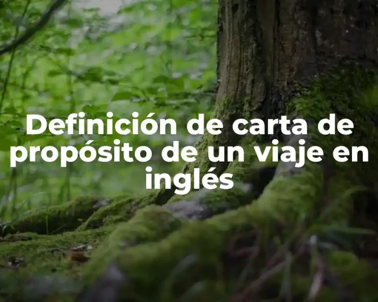 Definición de carta de propósito de un viaje en inglés