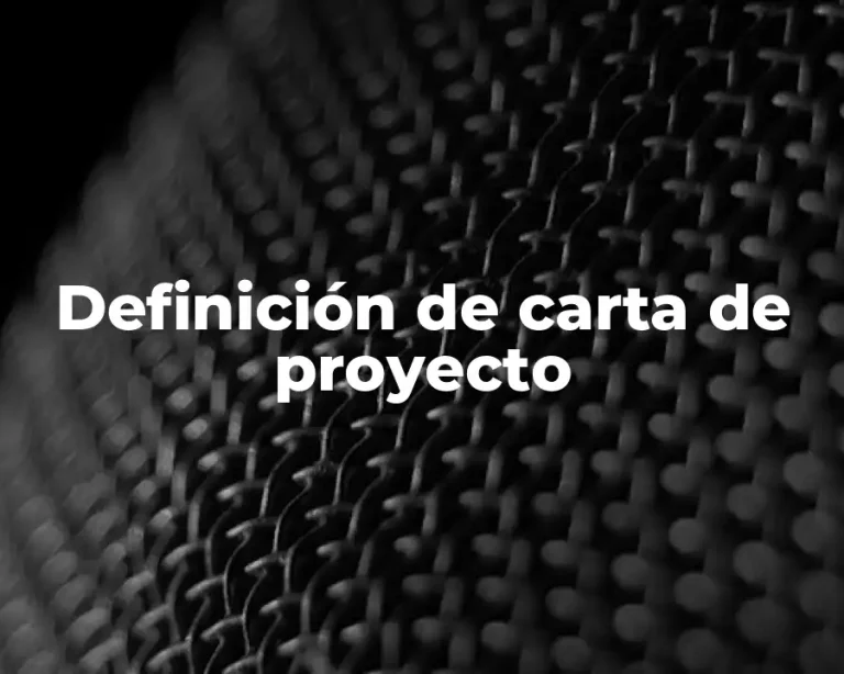 Definición de carta de proyecto