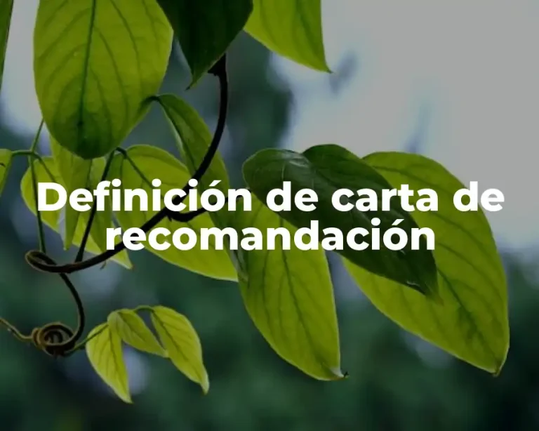 Definición de carta de recomandación