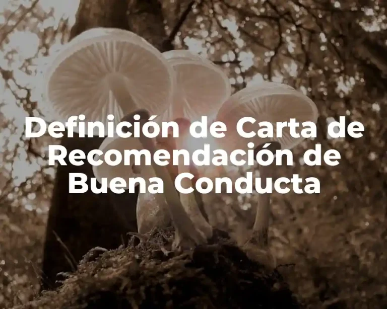 Definición de Carta de Recomendación de Buena Conducta