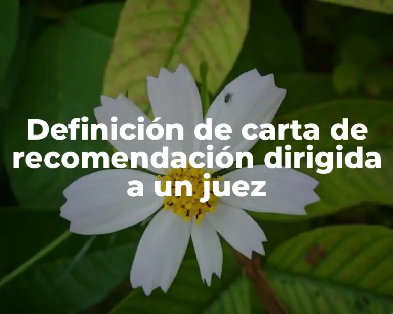 Definición de carta de recomendación dirigida a un juez
