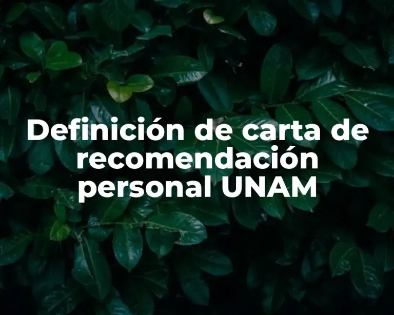 Definición de carta de recomendación personal UNAM