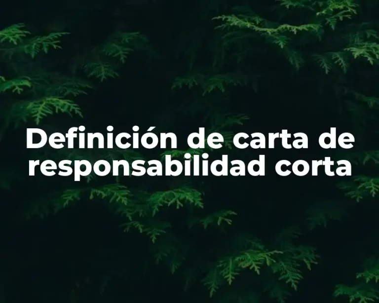 Definición de carta de responsabilidad corta