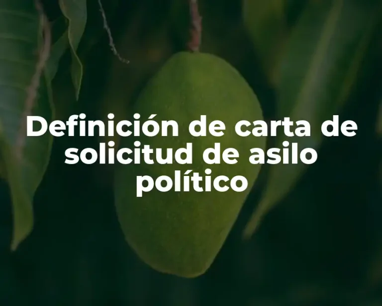 Definición de carta de solicitud de asilo político