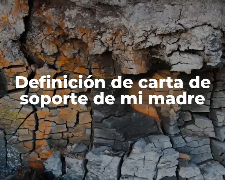 Definición de carta de soporte de mi madre