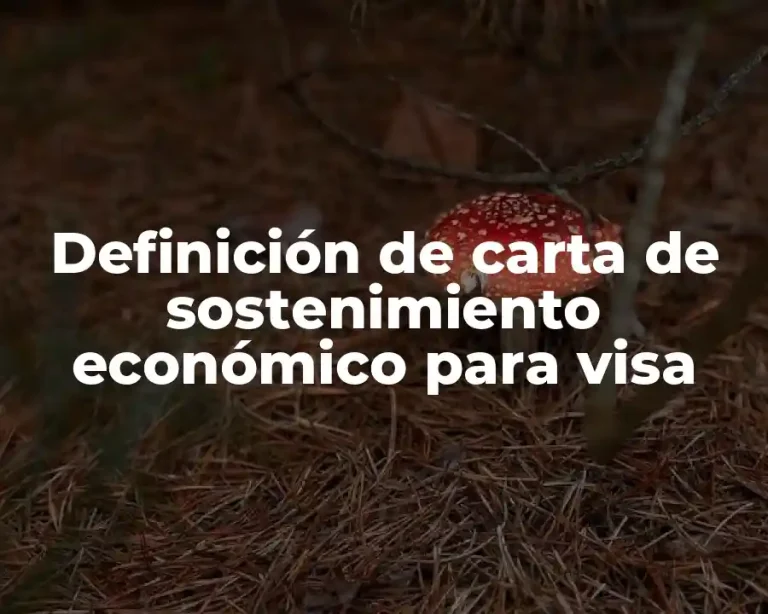 Definición de carta de sostenimiento económico para visa