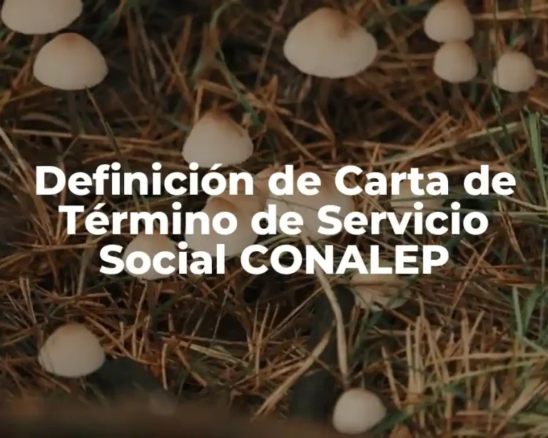 Definición de Carta de Término de Servicio Social CONALEP