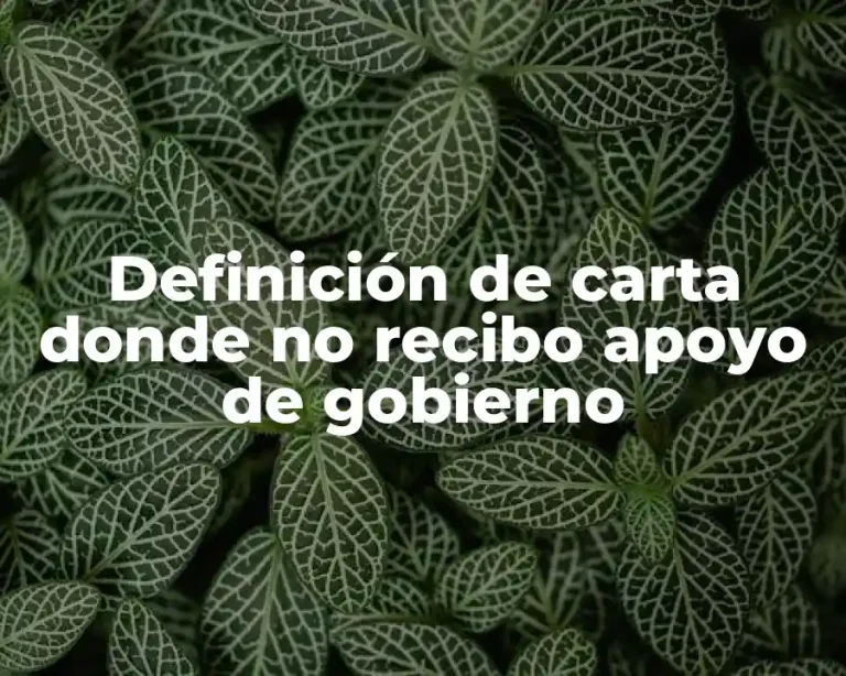 Definición de carta donde no recibo apoyo de gobierno