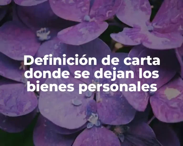Definición de carta donde se dejan los bienes personales