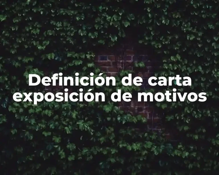 Definición de carta exposición de motivos