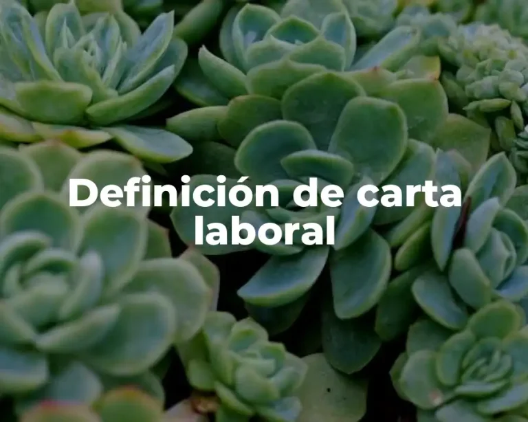 Definición de carta laboral