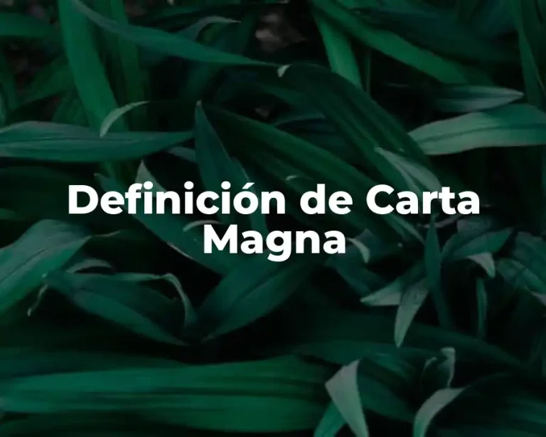 Definición de Carta Magna