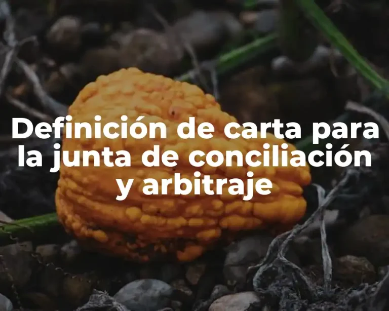 Definición de carta para la junta de conciliación y arbitraje