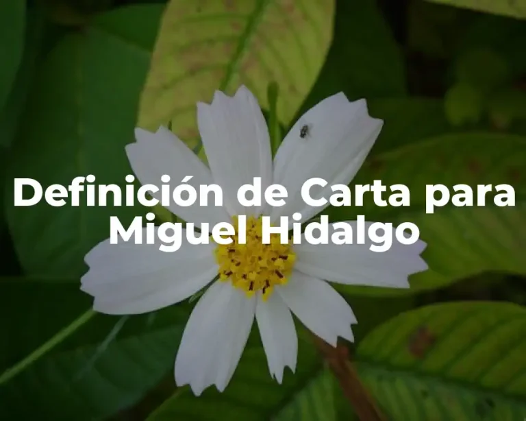 Definición de Carta para Miguel Hidalgo