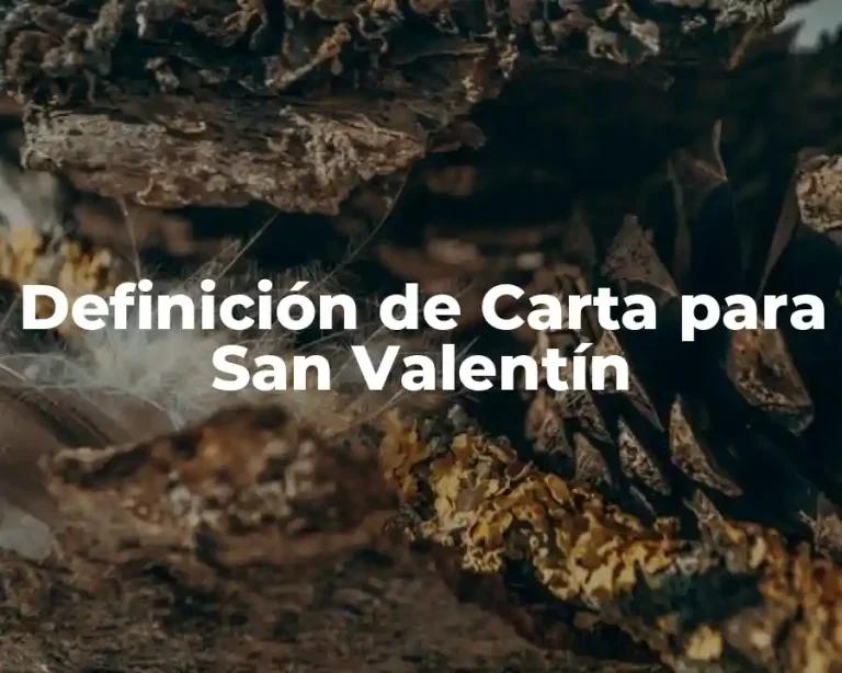 Definición de Carta para San Valentín