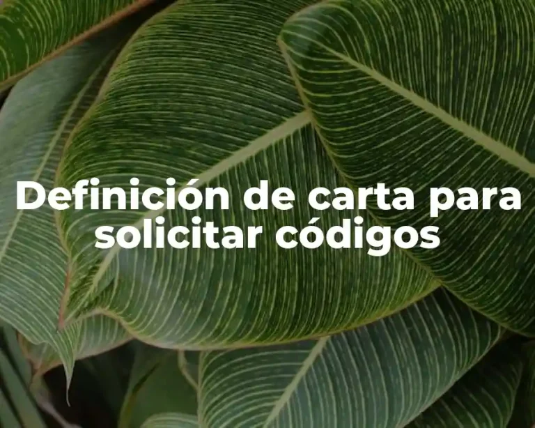 Definición de carta para solicitar códigos