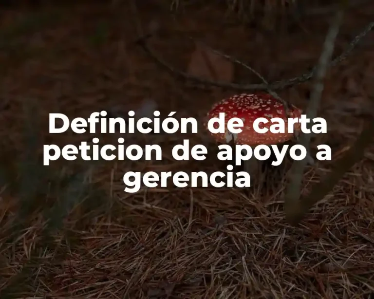 Definición de carta peticion de apoyo a gerencia