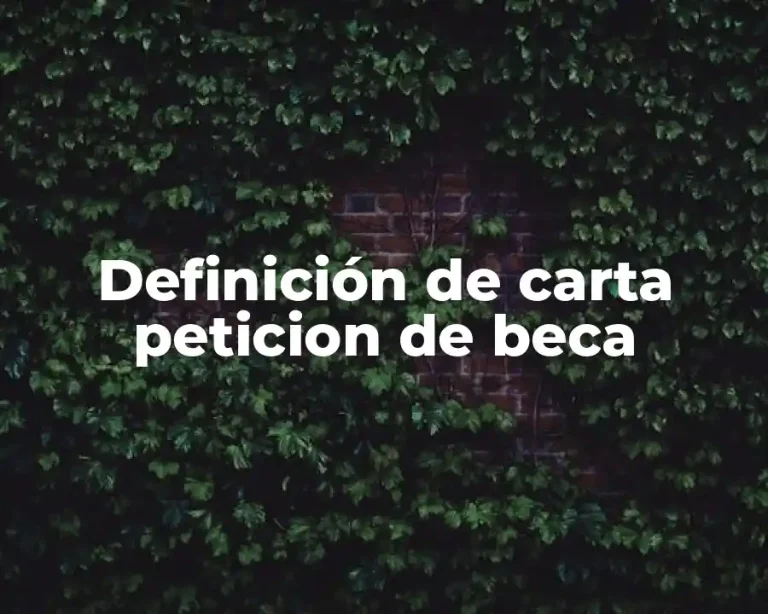 Definición de carta peticion de beca