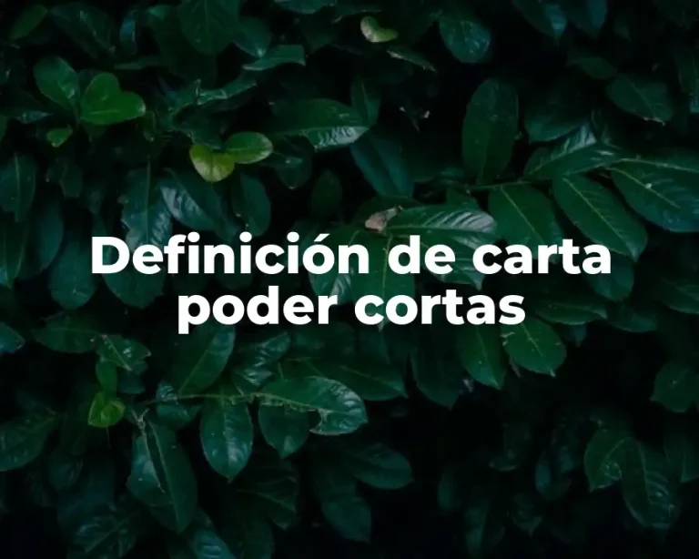 Definición de carta poder cortas